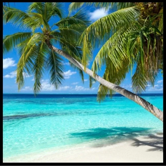 Swimsuit 💕Swimwear 💕 Bikini Set 💕 - Picture 12 of 16